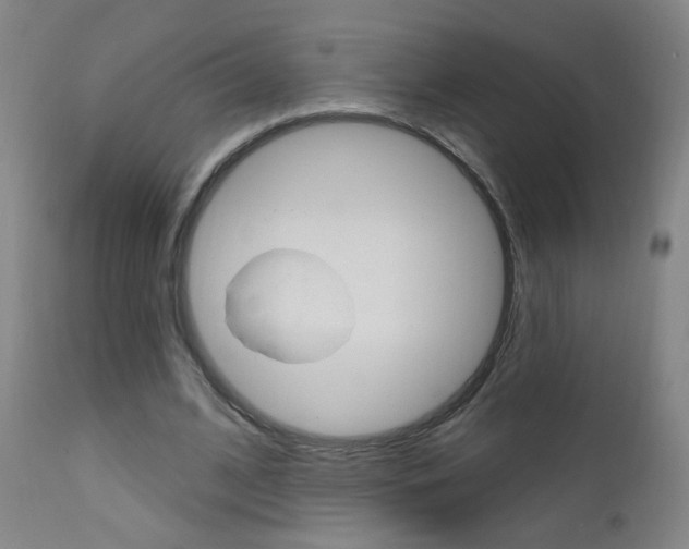 X0000111610584200907171041
