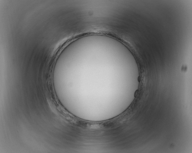 X0000111610587200907171041