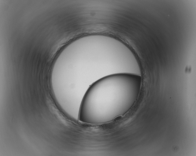 X0000111610589200907171041
