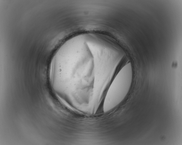 X0000111610592200907171041