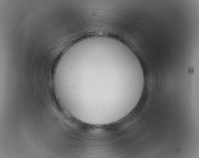 X0000111610594200907171041