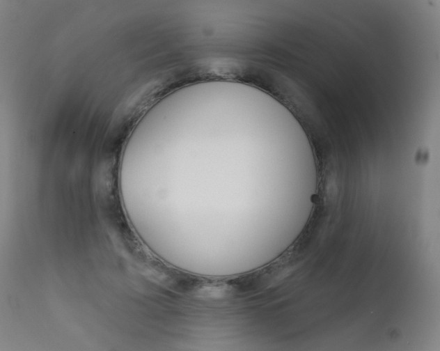 X0000111610595200907171041