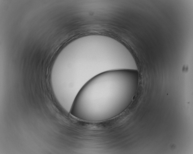 X0000111610597200907171041