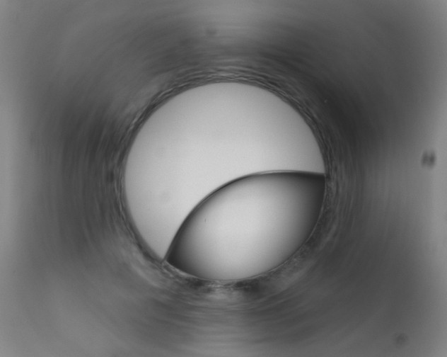 X0000111610601200907171041