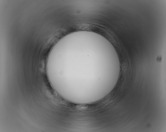 X0000111610602200907171041