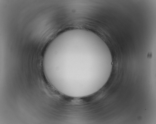 X0000111610603200907171041