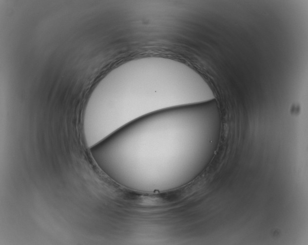 X0000111610605200907171041