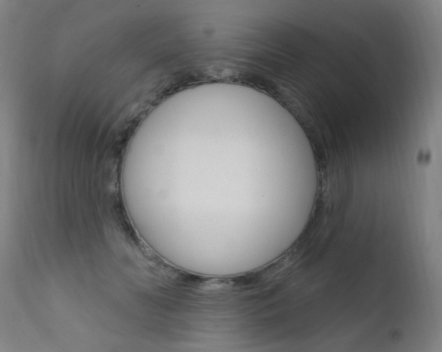 X0000111610606200907171041