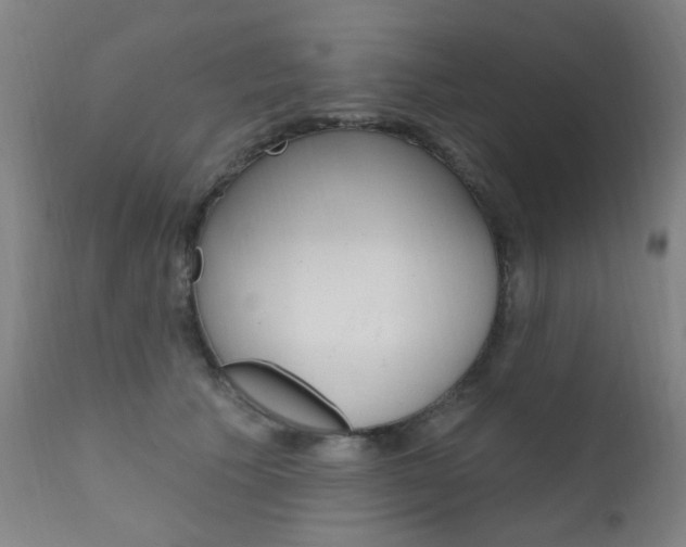X0000111610609200907171041