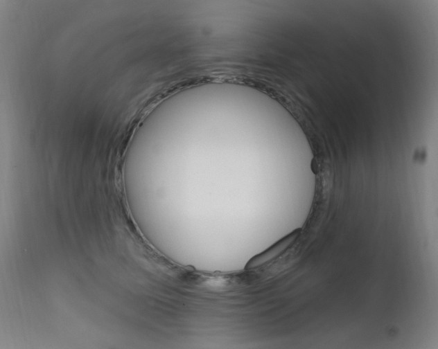 X0000111610611200907171041