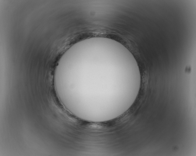 X0000111610614200907171041