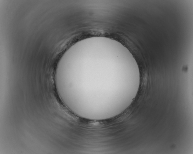 X0000111610616200907171041