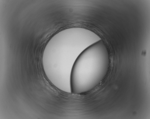X0000111610617200907171041