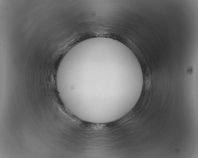 X0000111610618200907171041