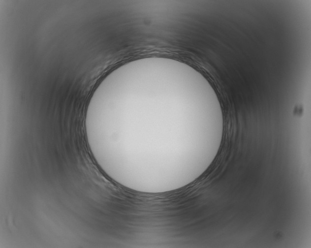 X0000111610621200907171041