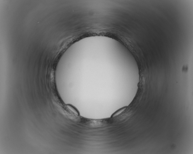 X0000111610623200907171041