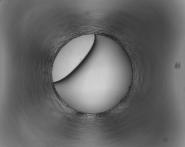 X0000111610624200907171041