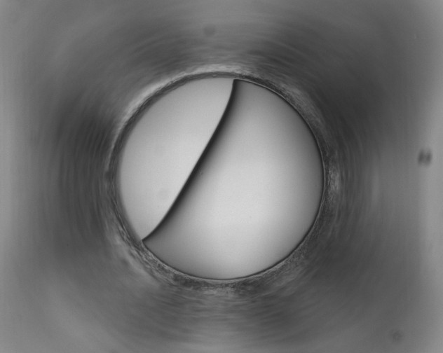 X0000111610628200907171040