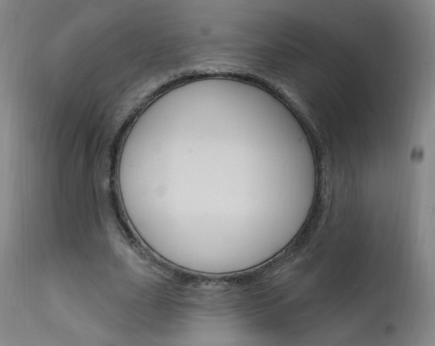 X0000111610631200907171040