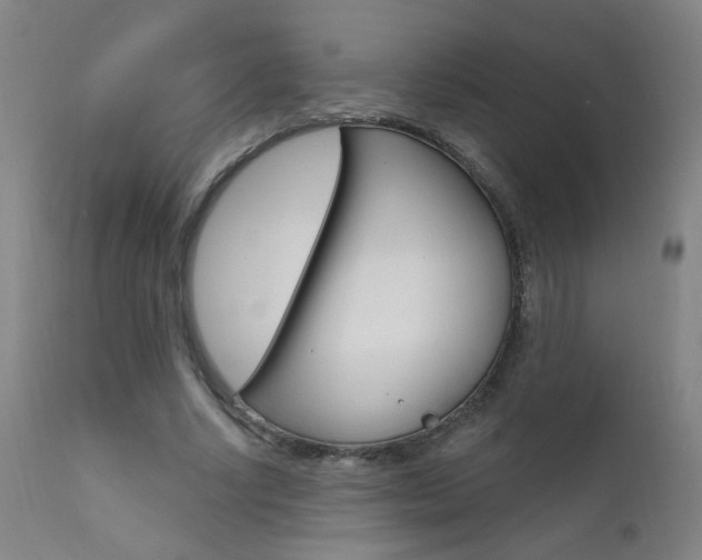 X0000111610634200907171040