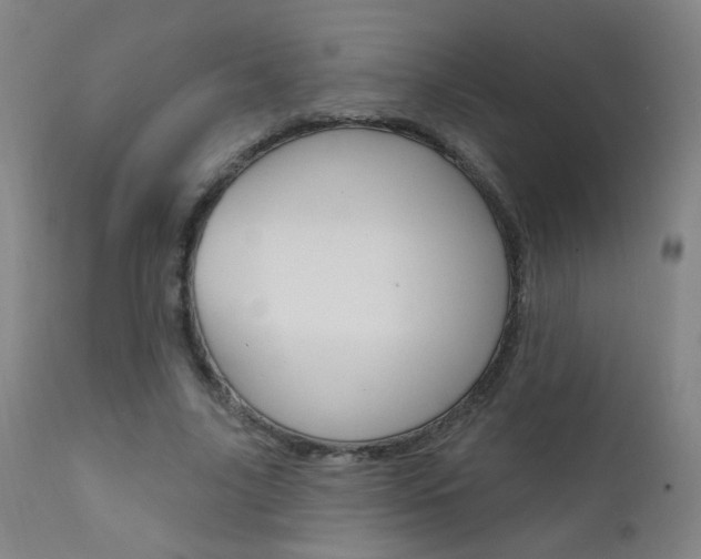 X0000111610635200907171040