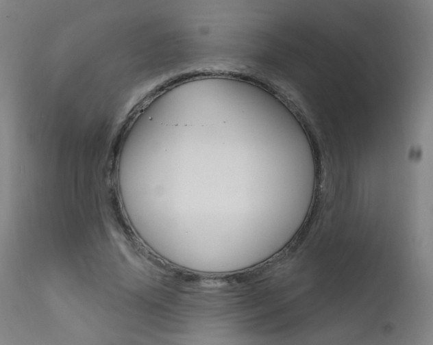 X0000111610636200907171040