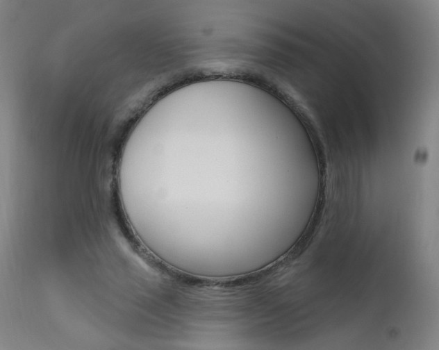 X0000111610637200907171040
