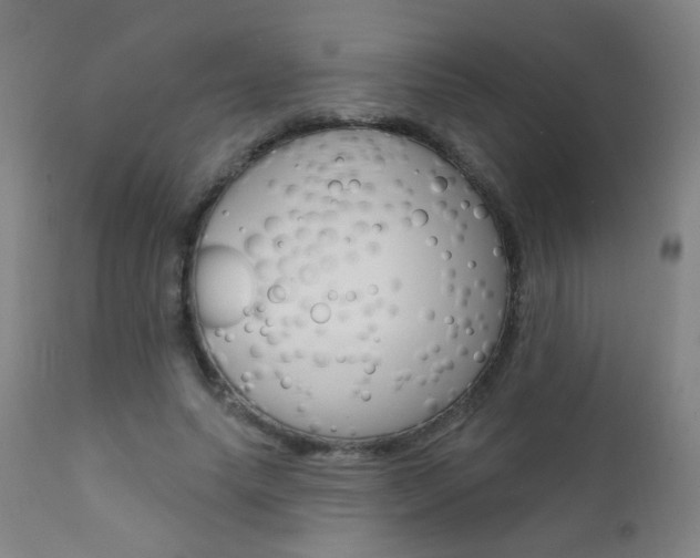 X0000111610639200907171040
