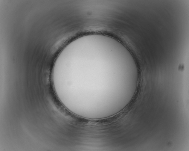X0000111610640200907171040