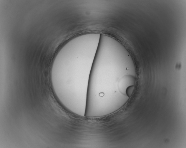 X0000111610641200907171040