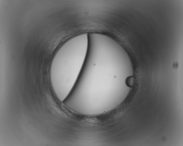 X0000111610642200907171040