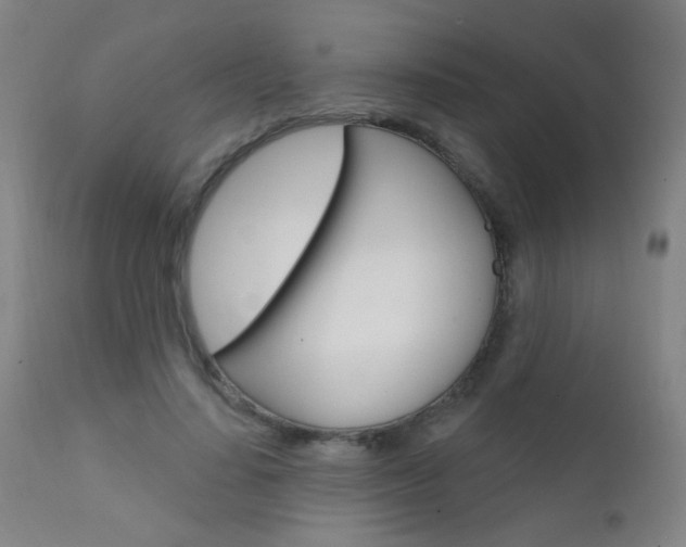 X0000111610644200907171040