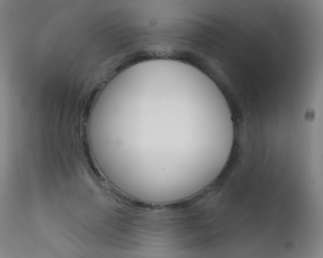 X0000111610645200907171040