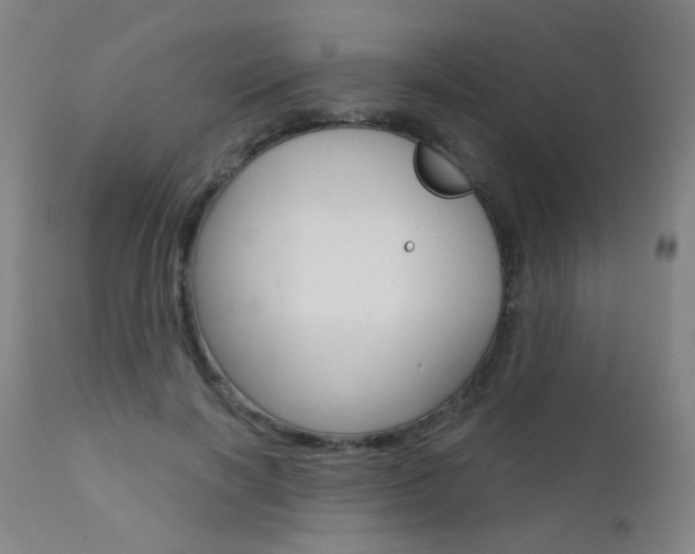 X0000111610646200907171040