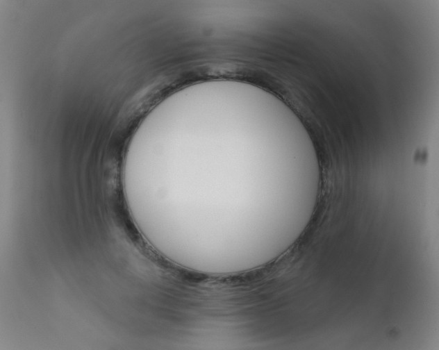 X0000111610648200907171041