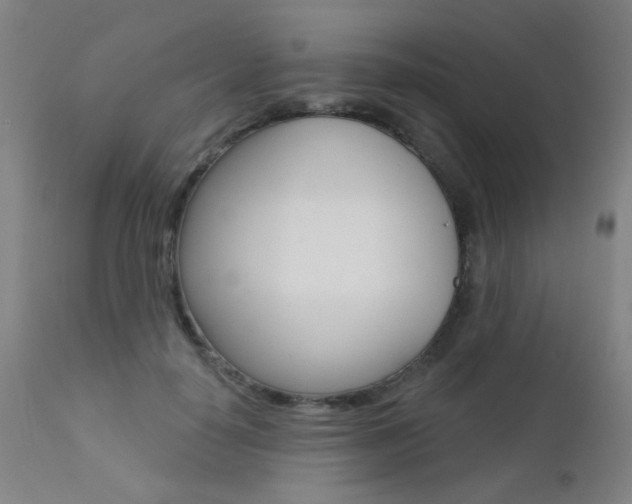 X0000111610650200907171041