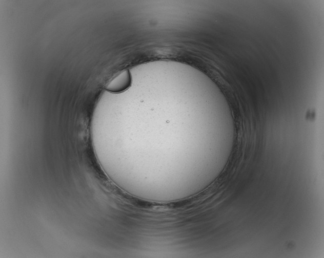 X0000111610651200907171041