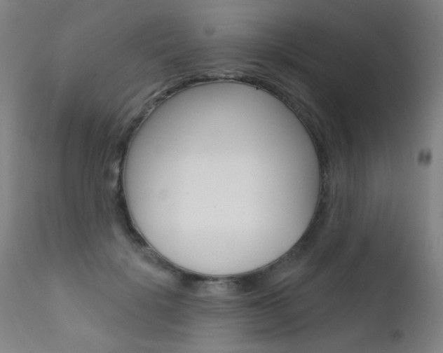 X0000111610652200907171041