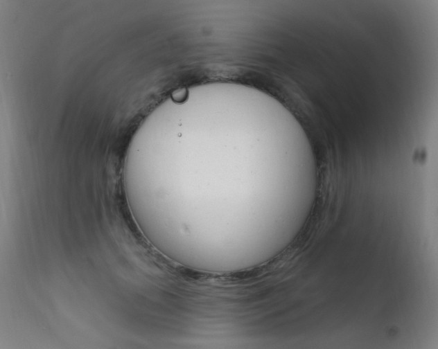 X0000111610655200907171041