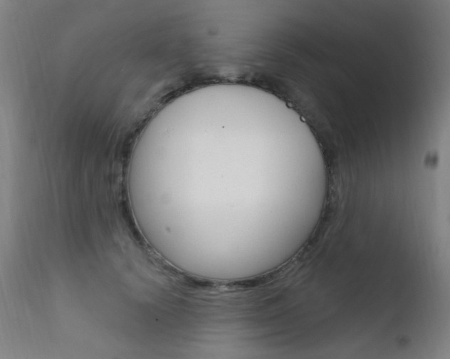 X0000111610656200907171041