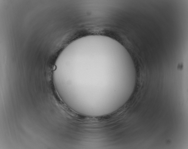 X0000111610658200907171041