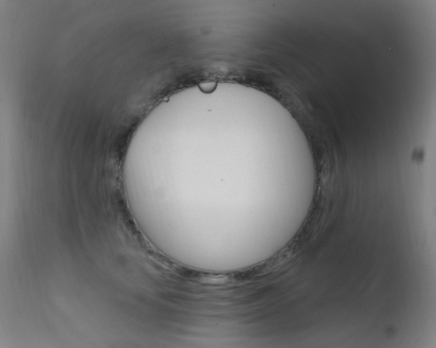 X0000111610659200907171041