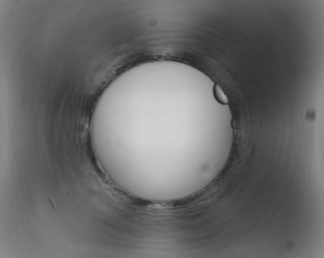 X0000111610660200907171041