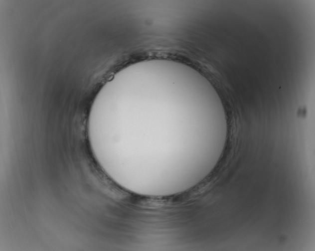 X0000111610661200907171041