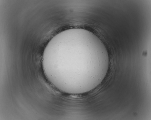X0000111610662200907171041