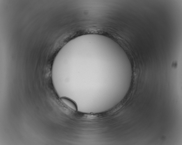 X0000111610665200907171041