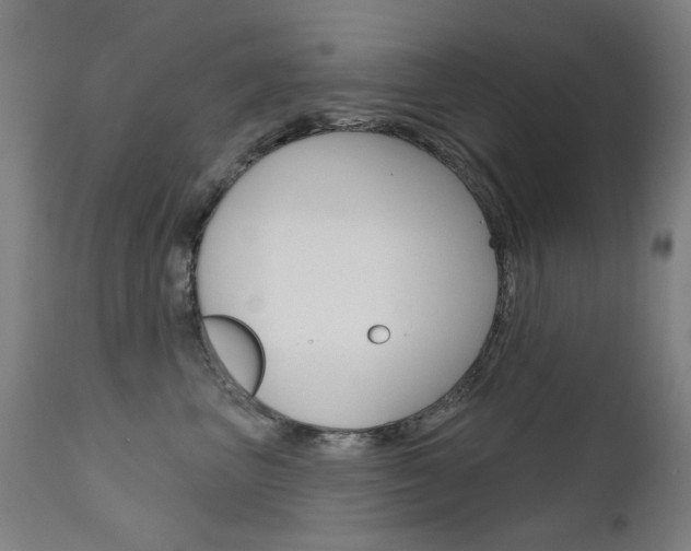 X0000111610667200907171041