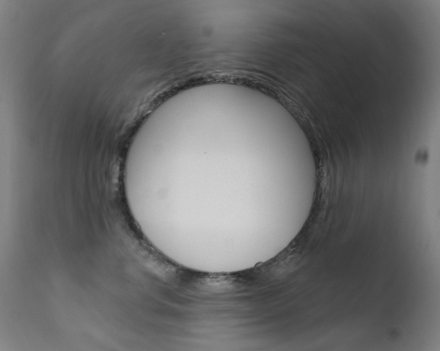X0000111610668200907171041