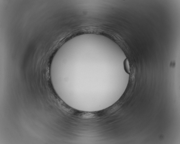 X0000111610669200907171041