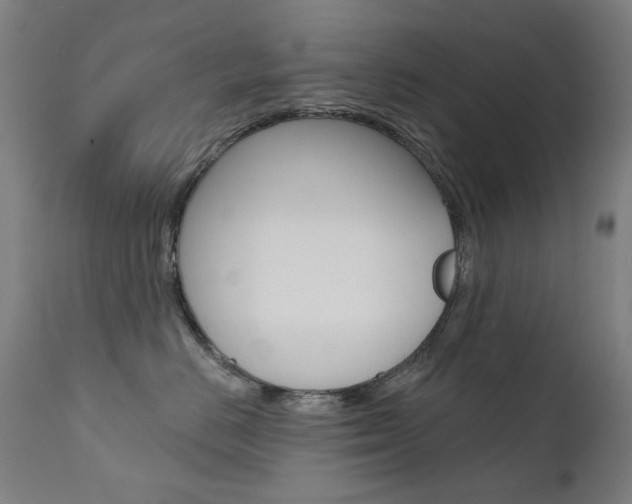 X0000111610670200907171041